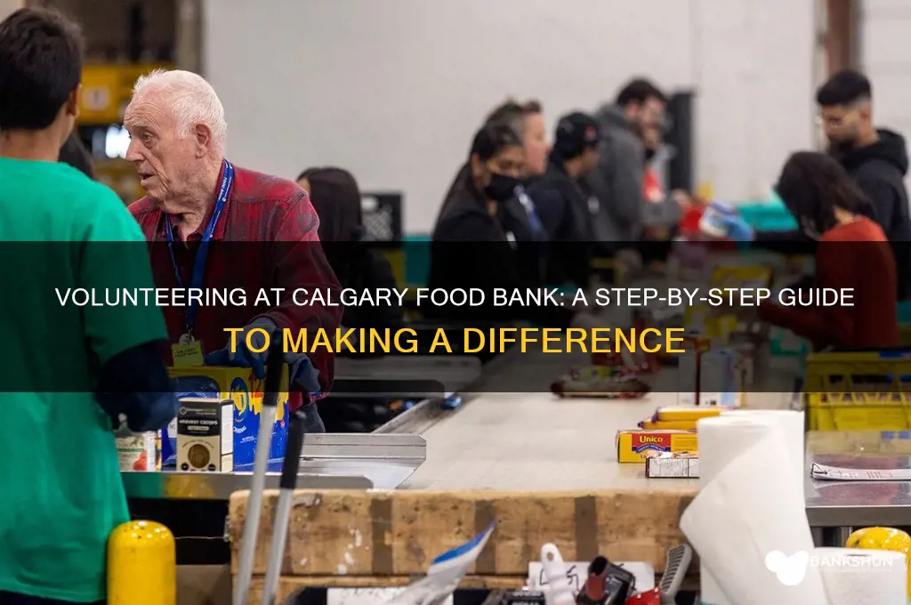 how to volunteer at calgary food bank