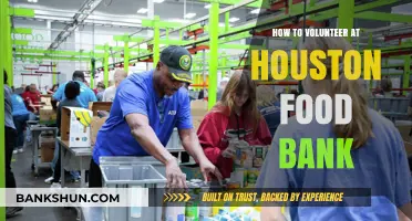 Volunteer at Houston Food Bank: A Step-by-Step Guide to Giving Back