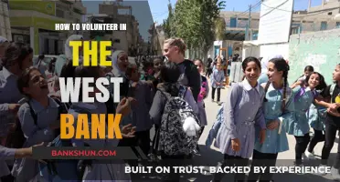 Volunteering in the West Bank: A Guide to Making a Difference