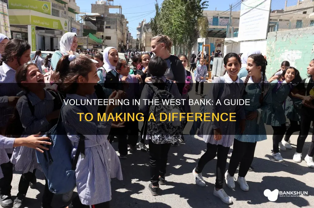 how to volunteer in the west bank
