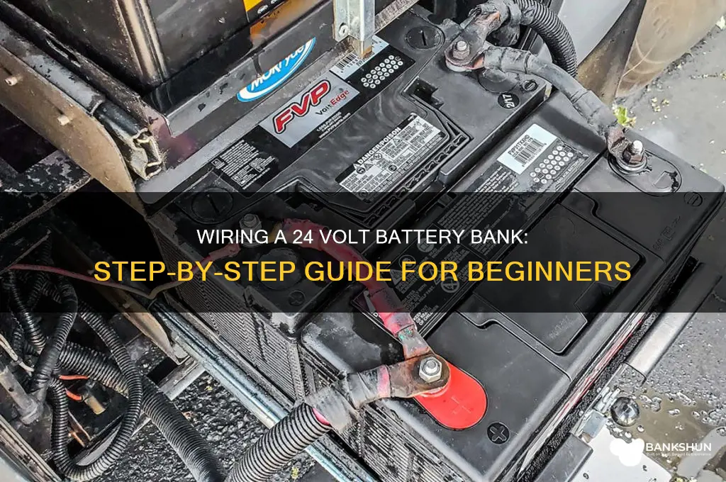 how to wire 24 volt battery bank