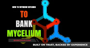 Withdrawing Bitcoin to Bank Account: Mycelium Wallet Step-by-Step Guide