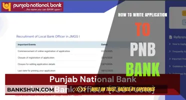 Mastering the Art of Writing a PNB Bank Application