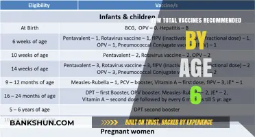Essential Vaccines for Kids: Full Immunization Guide by Age 6