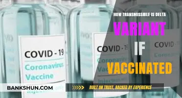 Delta Variant Transmission Risk: Vaccinated Individuals' Protection Explained