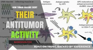 Unveiling Tumor Vaccines' Antitumor Mechanisms: A Comprehensive Guide