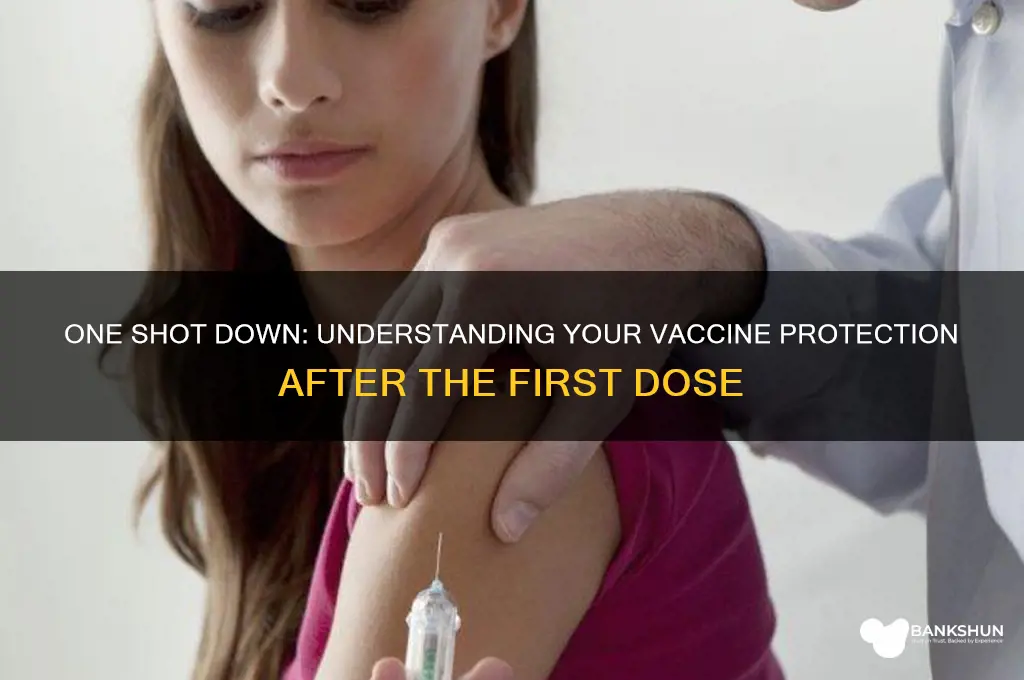 how vaccinated am i after one shot
