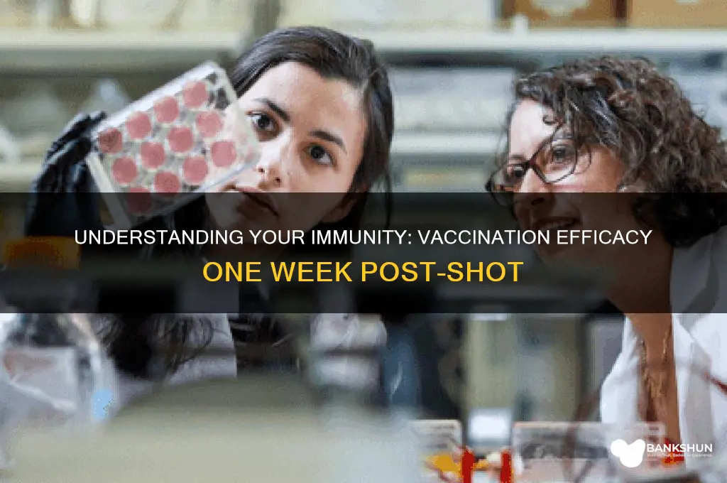 how vaccinated are you after a week