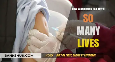 Vaccination's Lifesaving Impact: A Global Health Revolution Unveiled