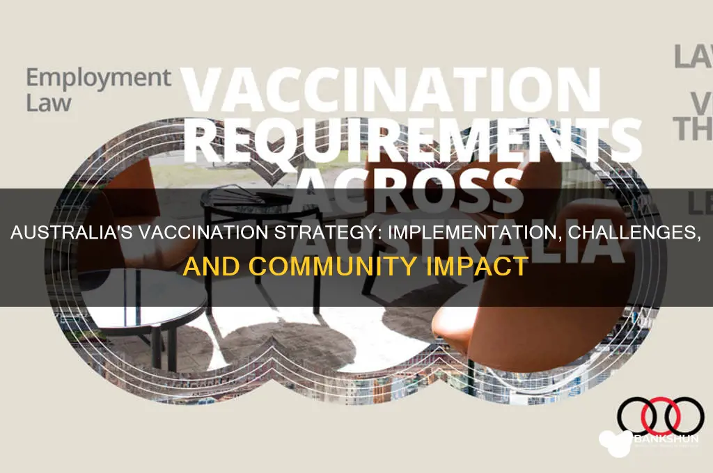 how vaccination programs are implemented in australia