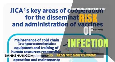 Vaccination: A Powerful Shield Against Infections and Disease Spread