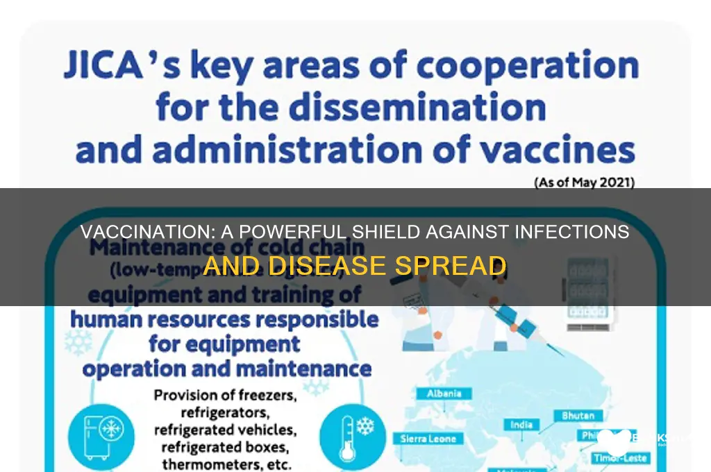 how vaccination reduces the risk of infection