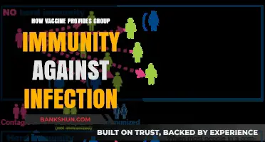 Vaccines and Herd Immunity: Protecting Communities from Infectious Diseases