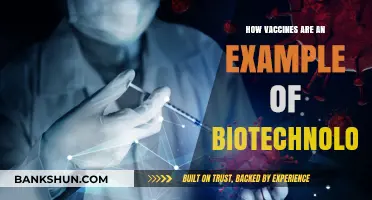 Vaccines: A Powerful Example of Modern Biotechnology in Action