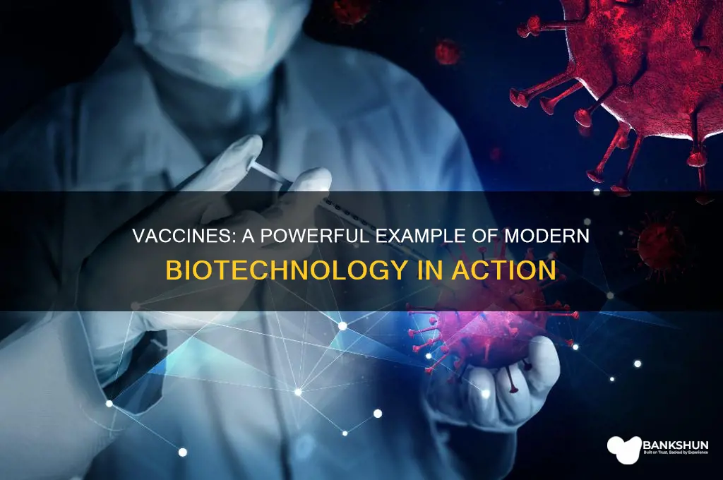how vaccines are an example of biotechnology