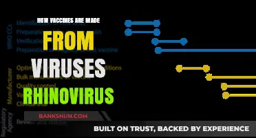 Unveiling the Process: Creating Vaccines from Rhinovirus for Immunity