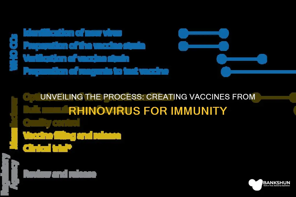how vaccines are made from viruses rhinovirus