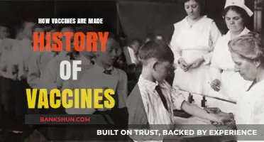 From Jenner to mRNA: The Evolution and Science of Vaccine Creation