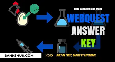 Understanding Vaccine Production: A Comprehensive WebQuest Answer Guide