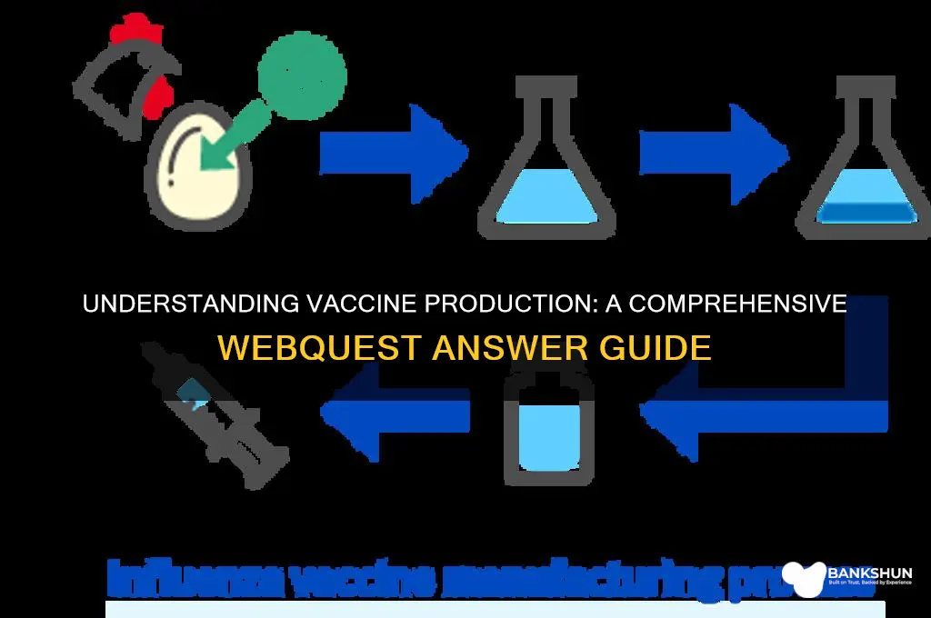 how vaccines are made webquest answer key