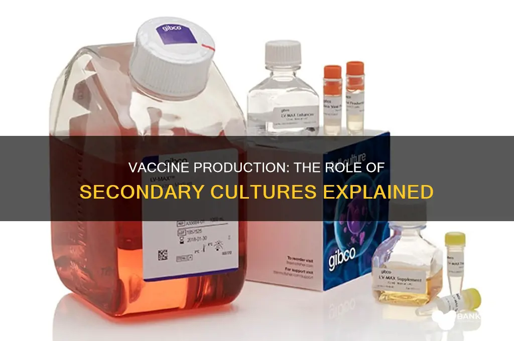 how vaccines are produced from secondary cultures