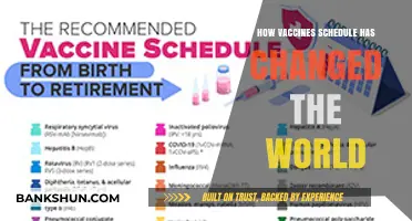 Vaccine Schedules: Transforming Global Health and Saving Lives Worldwide