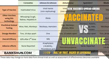 Vaccine Impact: Comparing Transmission Rates in Vaccinated vs Unvaccinated Populations