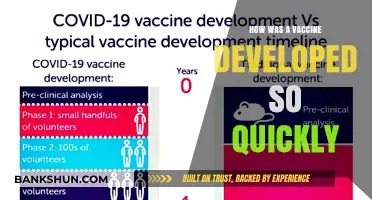 Rapid Vaccine Development: Unraveling the Science Behind COVID-19's Speedy Solution