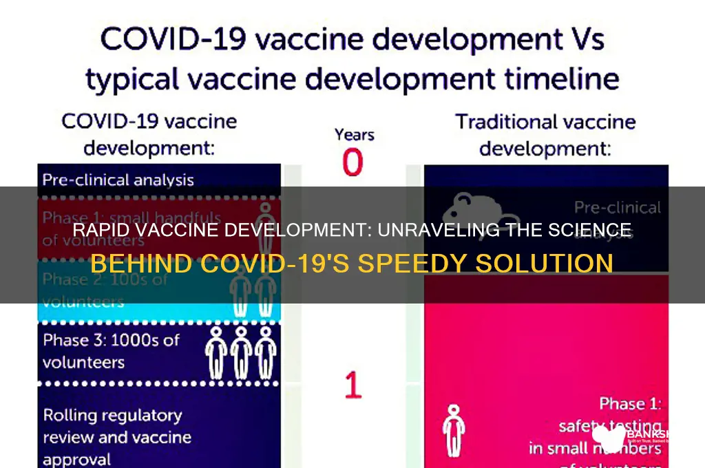 how was a vaccine developed so quickly