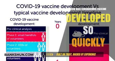 Rapid COVID-19 Vaccine Development: Unprecedented Speed Explained