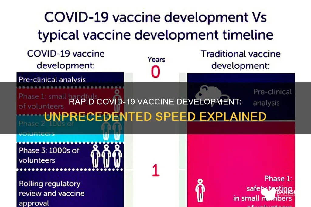 how was coronavirus vaccine developed so quickly