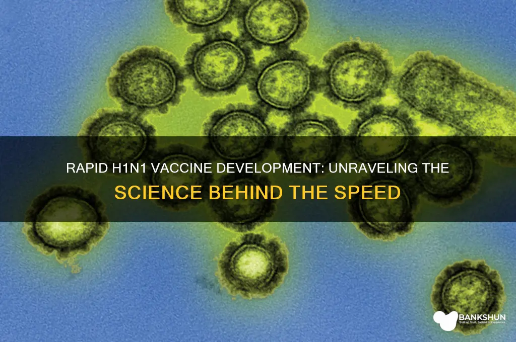 how was h1n1 vaccine created so quickly