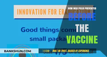 Pre-Vaccine Polio Prevention: Strategies, Hygiene, and Public Health Measures