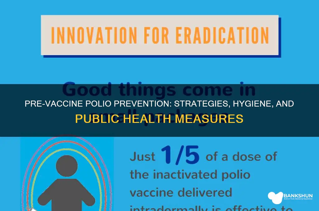 how was polio prevented before the vaccine