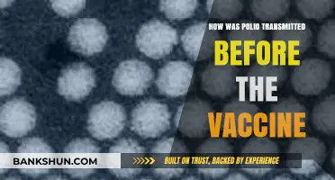 Unveiling Polio's Silent Spread: Pre-Vaccine Transmission Routes Explained