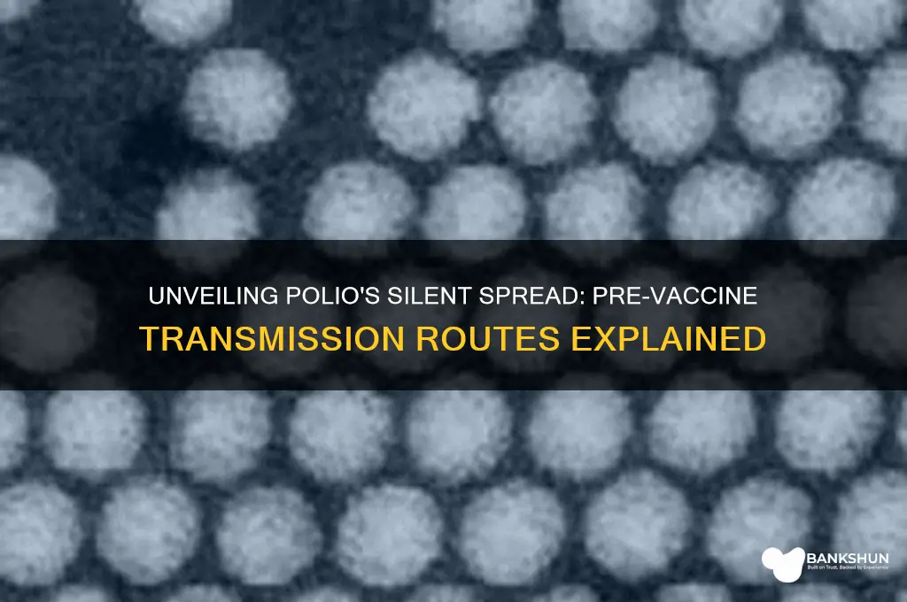 how was polio transmitted before the vaccine