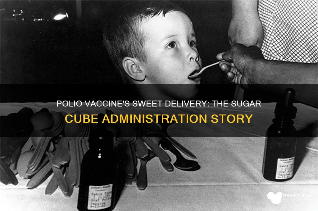 how was polio vaccine administered sugar cube