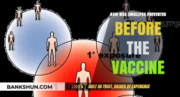 Pre-Vaccine Smallpox Prevention: Ancient Methods to Control the Scourge
