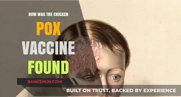 The Discovery of the Chicken Pox Vaccine: A Medical Breakthrough