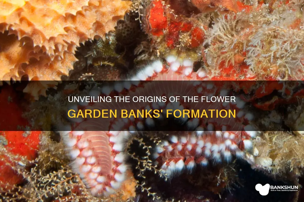 how was the flower garden banks formed