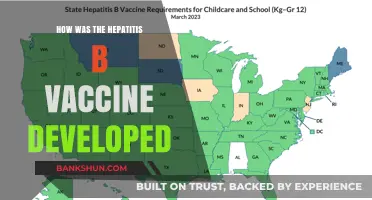 The Pioneering Journey of Developing the Hepatitis B Vaccine