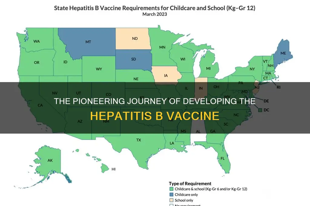 how was the hepatitis b vaccine developed