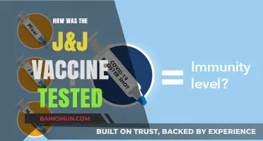 J&J Vaccine Testing: Methods, Trials, and Safety Verification Explained
