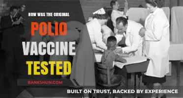 The Pioneering Trials: Testing the Original Polio Vaccine