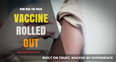 The Polio Vaccine Rollout: A Global Health Triumph Unveiled