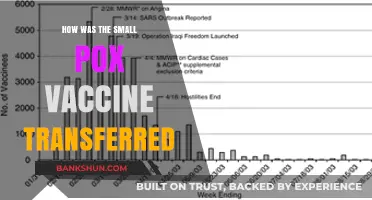 The Revolutionary Journey of Smallpox Vaccine Transfer and Distribution