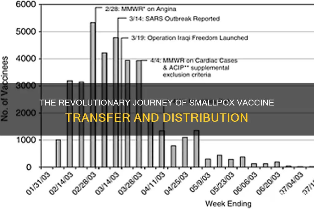 how was the small pox vaccine transferred