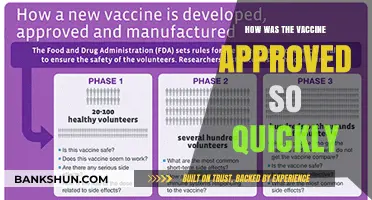 Rapid Vaccine Approval: Unraveling the Science Behind the Speed
