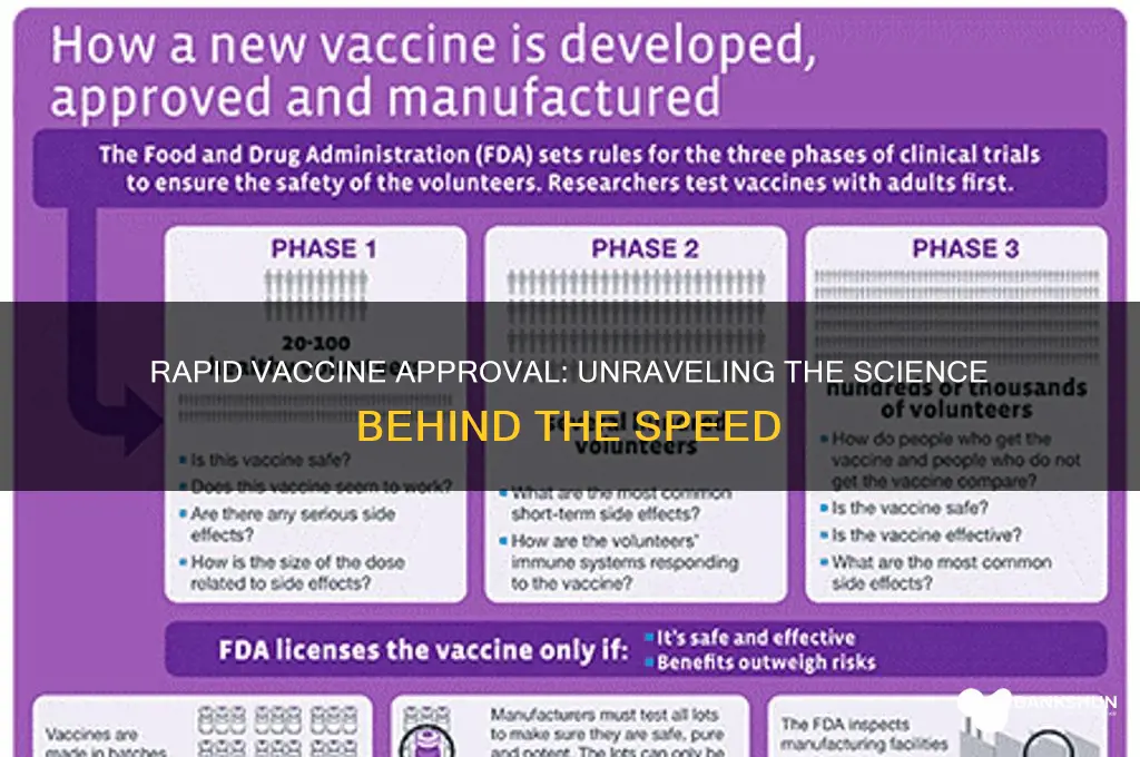 how was the vaccine approved so quickly