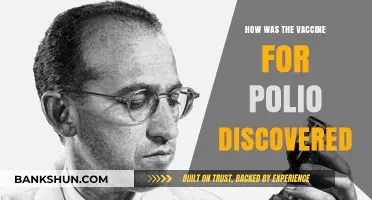 The Breakthrough Discovery of the Polio Vaccine: A Scientific Journey